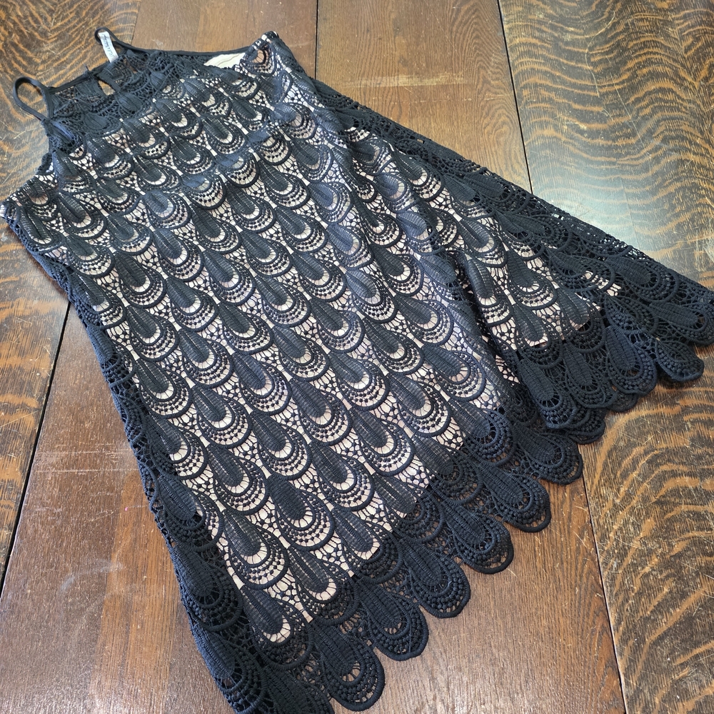 Rich & Beautiful black‎ and nude scalloped lace sleeveless dress.